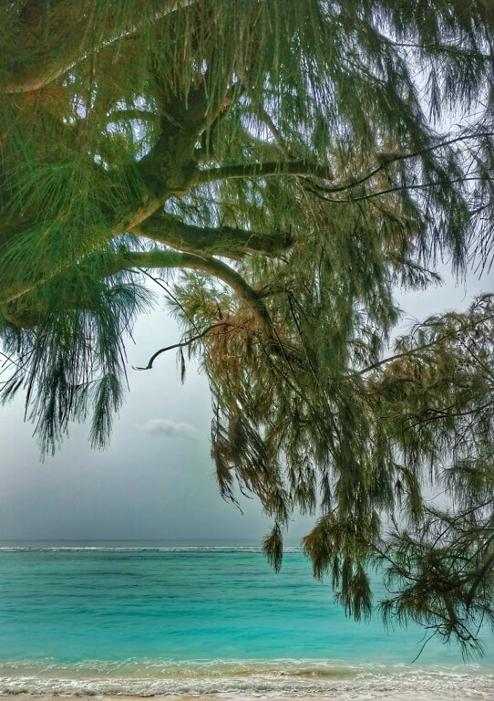 Your vacation starts the moment you step out of the airport. Send this to your buddies to give them travel goals.