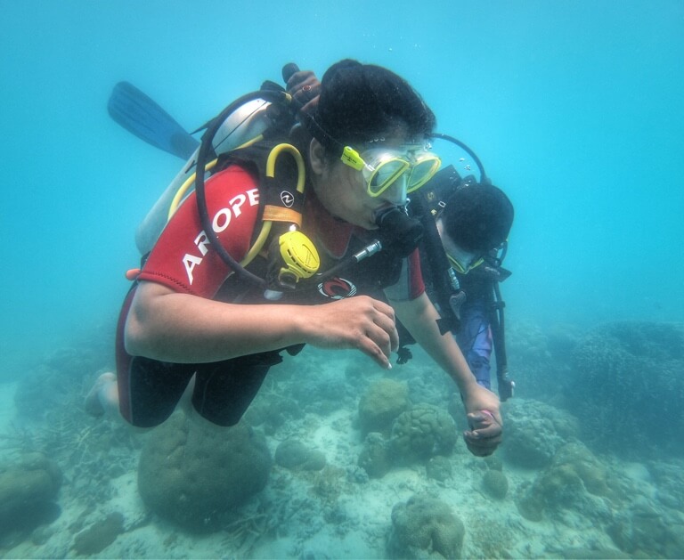 Explore the sub-aquatic world of colourful marine creatures. Share this with friends who needs to tick scuba diving off their check-list.