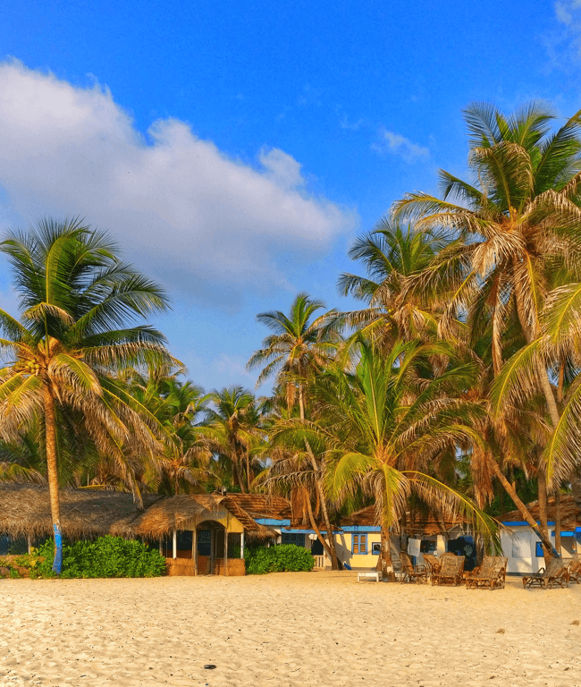 Indulge in some serious beachy vibes by staying at these shacks. There’s your perfect insta-story!