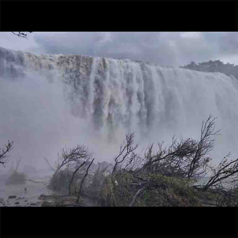 Scoop your jaw off the ground after a glimpse of the mighty Athirapally Falls. Click a selfie with the same expression to make your friends chuckle