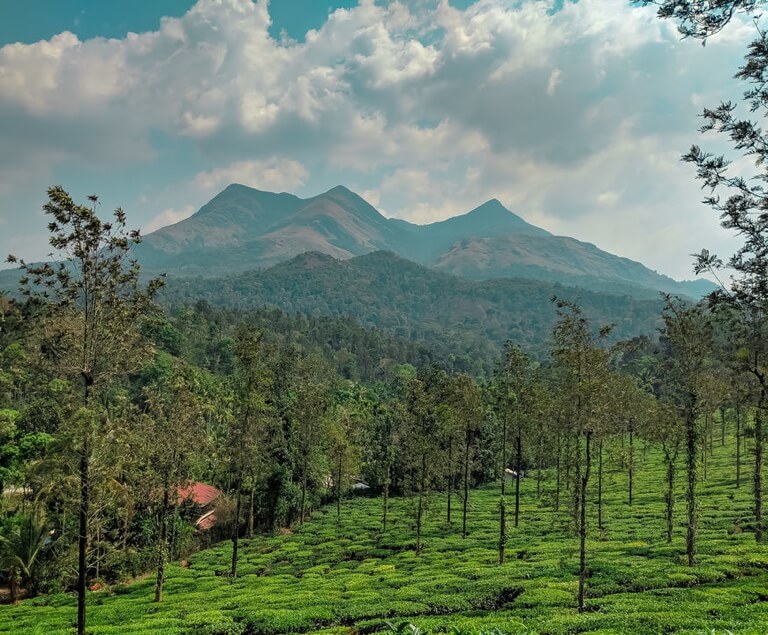 A steaming cup of tea and a paperback complete this view. This is our reading corner of the week, which one is yours?