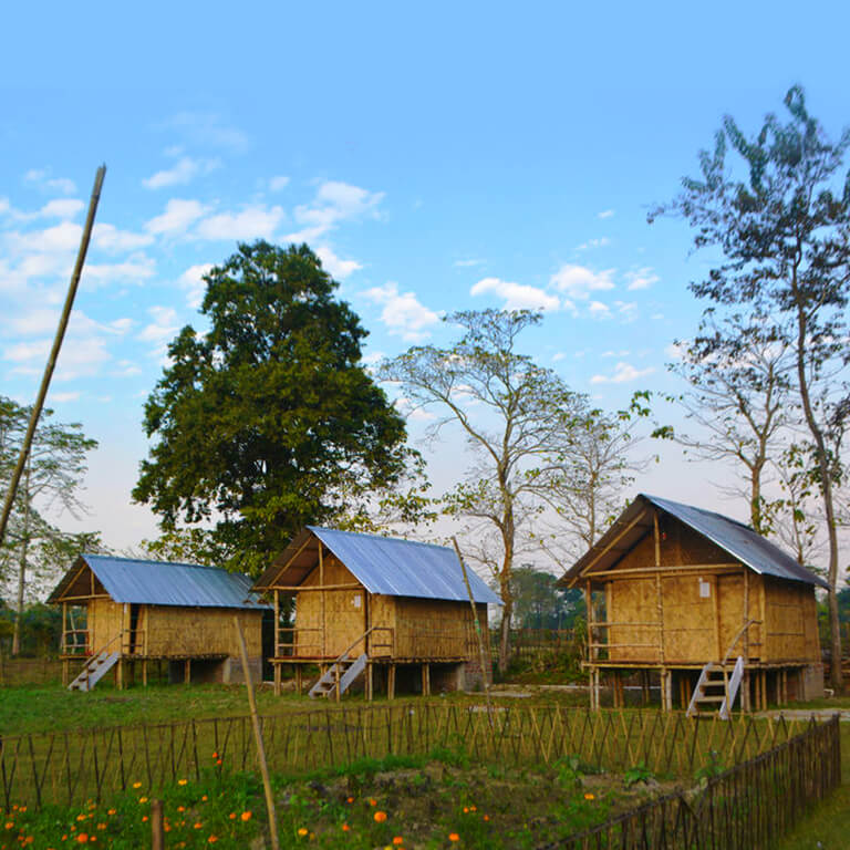 Take a break from the city life and spend a night in the middle of nowhere. Send this to someone who you share this dream with.