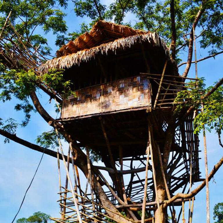 Everyone’s childhood dream house -- a treehouse! Share this with your childhood friends.