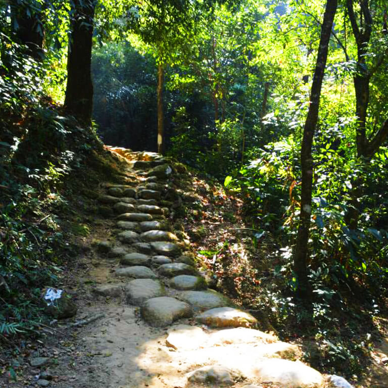 A hidden forest trail that leads to a paradise. Would you be game to take the road not taken?