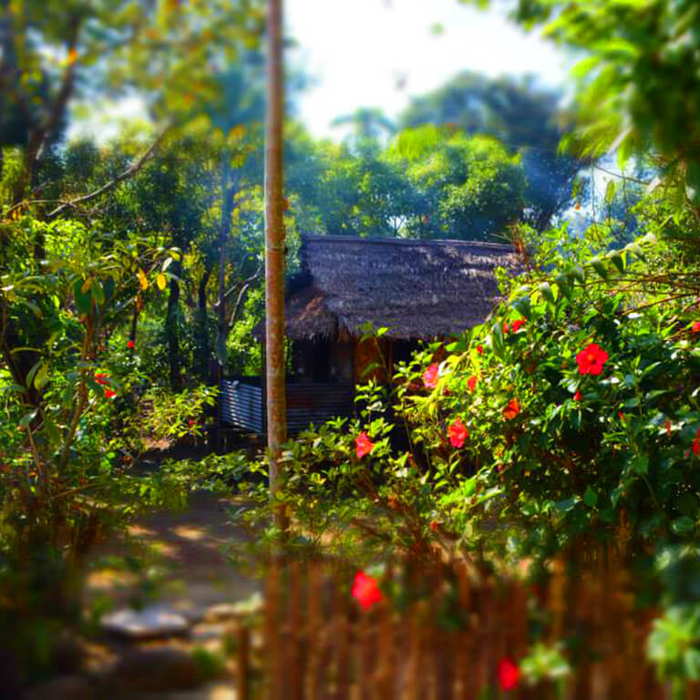 A picture-perfect house in Asia’s cleanest village! Don’t you just want to live here forever?