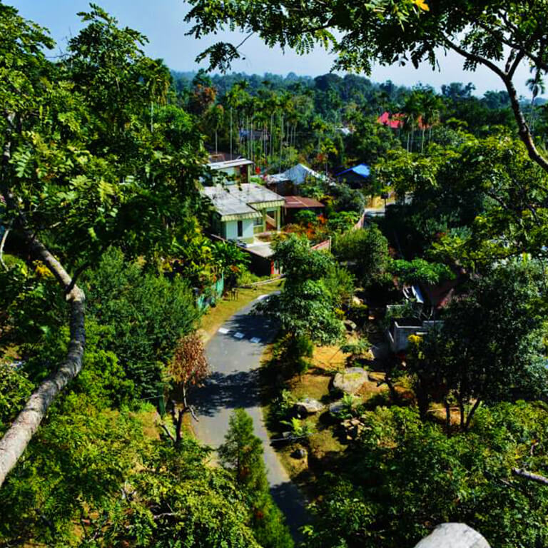 Put on your favourite song and take a stroll along these beautiful roads. Share this with someone who loves long walks.