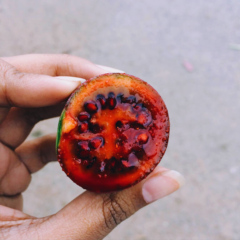 Experience the organic life and gorge on luscious baby tomatoes! Show this to a friend who’d like to try this.