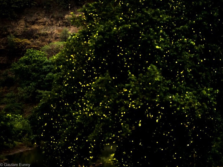 City lights got nothing on them country nights. Share this with a country boy trapped in city life.