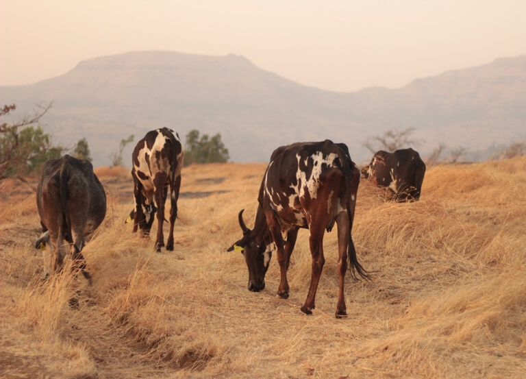 Anywhere is fun as long as you’re with your herd. Send out a group text reminding your friends of this.