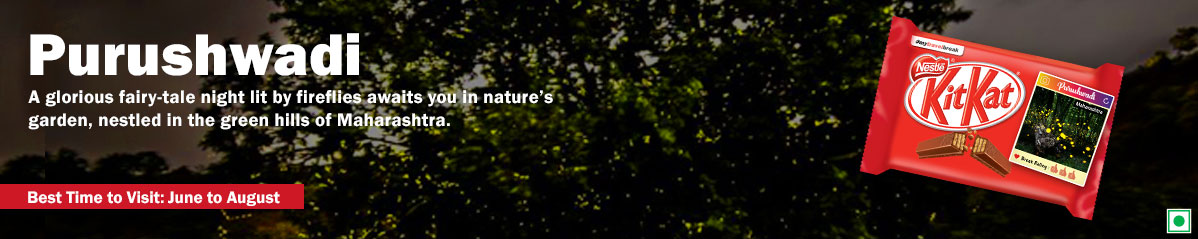 Banner of Purushwadi