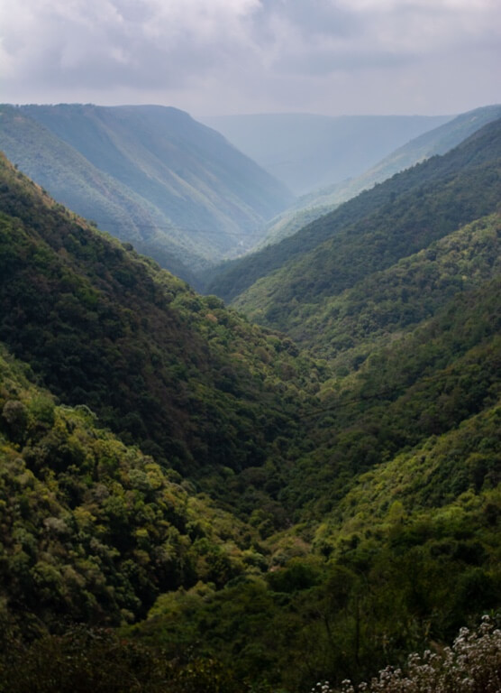 Driving through the soaring East Khasi Hills, one can’t help but stop and stare. Share this with those road trip buddies with whom you’d stop here.