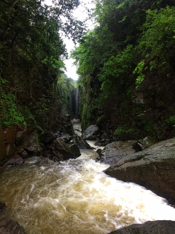 Go with the flow and trace your journey through a world – wild and rough. Who would you want to go on this adventure with?