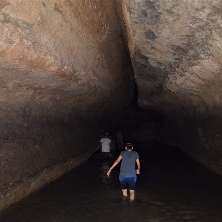 Spine chilling? Maybe. Exhilarating? Definitely. Share this with the daredevils in your group.