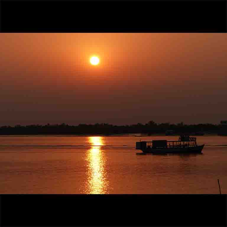 Escape all the noise and take a boat ride in the silent mangroves. Send this to an office friend who could do with some peace! 