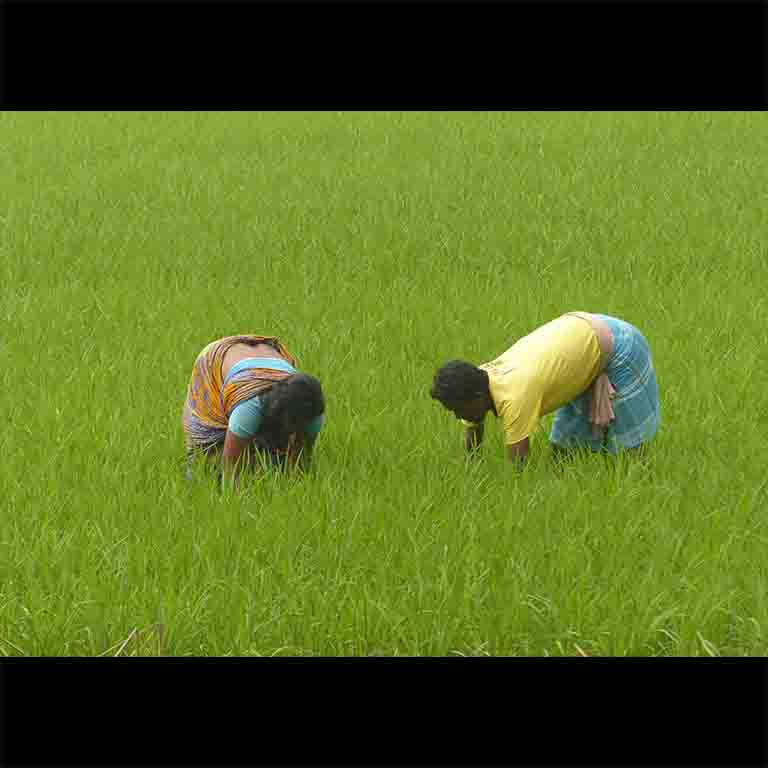 Obsessed with red carpet? Wait till you see nature roll out the green carpet for you. Share this with a friend who has always lived in cities.