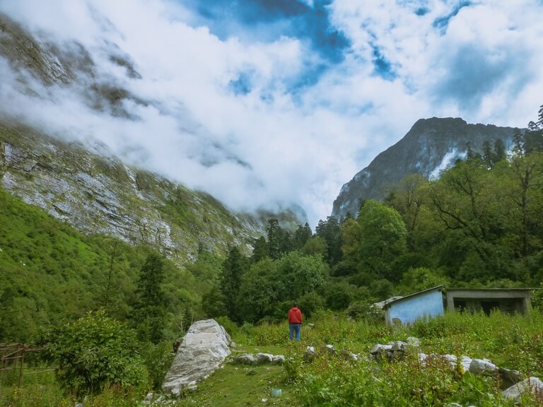 Lose yourself in the untamed wilderness of lush, green forests. Share this with one of your tree-hugging friends.