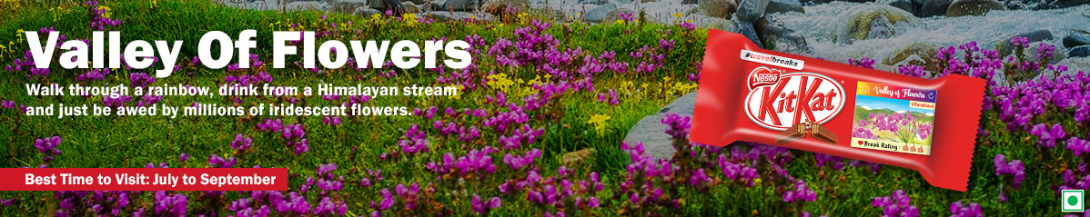 Banner of Valley of Flowers