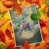 Profile photo of Krishna singh