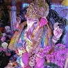 Profile photo of AMAR HURSALE