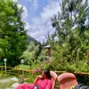 Profile photo of Tania Goyal