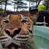 Profile photo of Wanderfirst