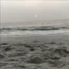 Profile photo of Passionfortravel