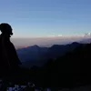 Profile photo of Hippie Heart 