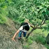 Profile photo of Rahul Barde