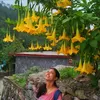Profile photo of Mudita Bapat