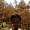 Profile photo of Herald Masih
