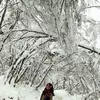 Profile photo of Akanksha Mishra
