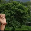 Profile photo of Arjun