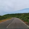 Profile photo of Nature Lover