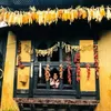 Profile photo of Sujata G