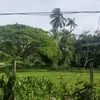 Profile photo of The Travellist