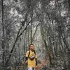 Profile photo of edyirfan
