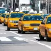 Profile photo of Chikucabs