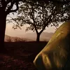 Profile photo of TheEconomicalNomad