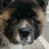 Profile photo of kgyjlb jlnn