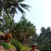 Profile photo of jainish