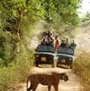 Profile photo of Jim Corbett Travels