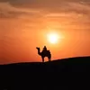 Profile photo of jaisalmer 