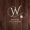 Profile photo of White Flower