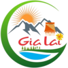 Profile photo of Review Gia Lai