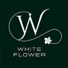 Profile photo of White Flower Morjim