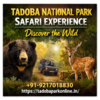 Profile photo of Tadoba National