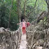 Profile photo of Dheeraj Tanwar