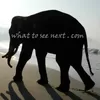Profile photo of whattoseenext