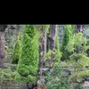 Profile photo of Ritusree exploring