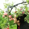 Profile photo of empty_stomach_traveller 